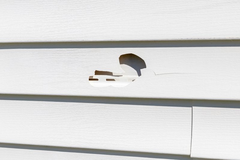 Vinyl Siding Repair - Damage Assessment